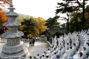 강화 석모도 - 보문사