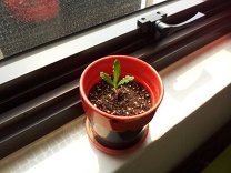 군미필대출가능한곳4