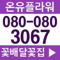 대구피카소웨딩5