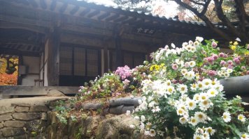 안동게스트하우스5