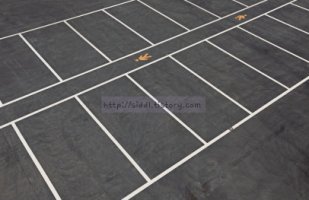 장애인차량일반인구입4