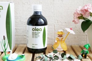 올리브잎추출액1
