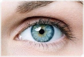 원데이라식수술3