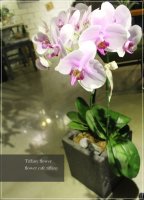 사무실개업선물5