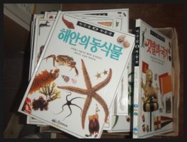 웅진비주얼박물관1