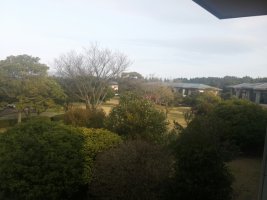 제주엘리시안CC4