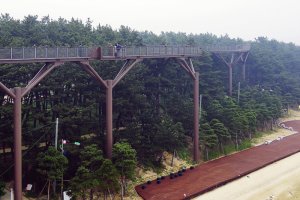 서천 가볼 만한 곳, 장항 스카이워크