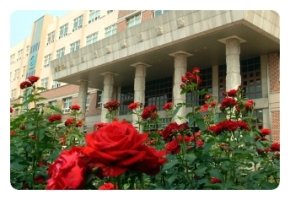 전문대학입시정보2