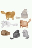 소비자고발센터1