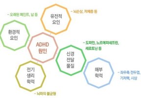 에이디에이치디1