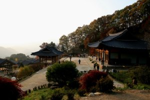 극락의 기를 받아 보세요... 부석사