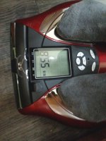 근육형하체비만2