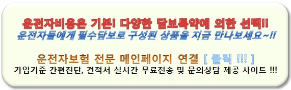 이륜차책임보험3
