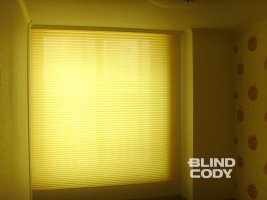 플리티드쉐이드1