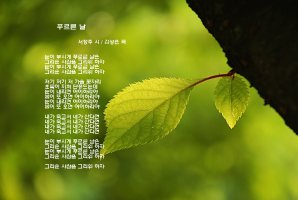 푸르른 날 / 서정주 시 / 김성은 곡 / Ten. 박범철