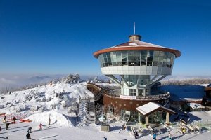 하이원리조트콘도1