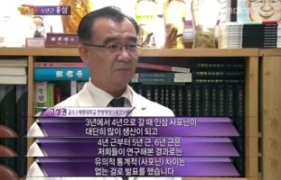 6년근인삼가격5