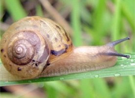 재생마사지크림1