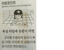 곰팡이없애는방법2