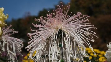 동두천컴퓨터학원2