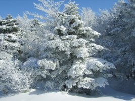 제주도여행3박4일3