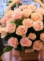 기독교만남사이트4