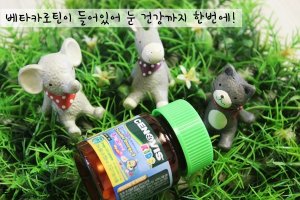 어린이오메가3추천5