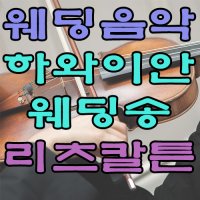 웨딩음악4