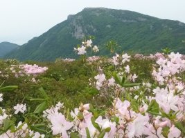 풍수지리로 본 비슬산 대구테크노폴리스 호반베르디움.