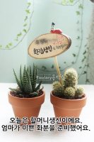 할머니생신선물3