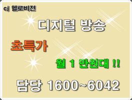 디지털티비신청3