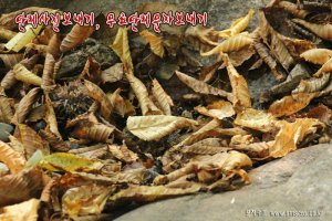 단체문자보내기2