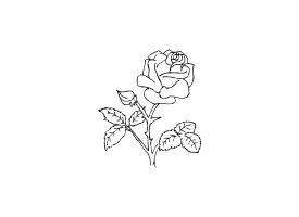 [장미 색칠공부] 장미 그림도안 - 장미 클립아트, 장미 컷도안, 장미 그림, 장미 이미지, 장미 도안, 장미 컷이미지