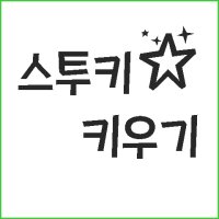 스투키 키우기2