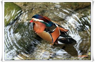 최신영화다운로드6