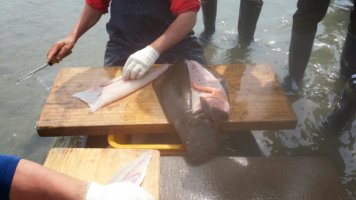 간석자동차매매단지2