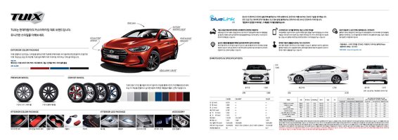 아반떼보험가격4