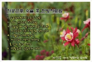 자궁근종수술비용1