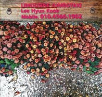 인천공항콜택시1