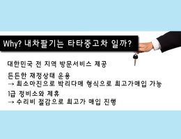 전남중고차6