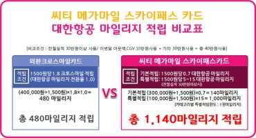 스카이패스카드1