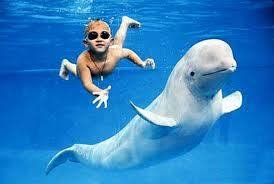 관절염에좋은운동3