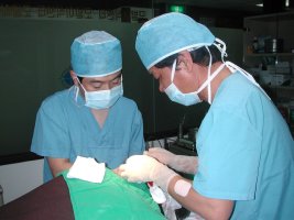 경북대김정철교수3