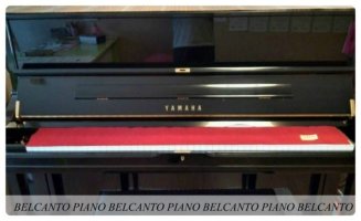 피아노조율가격3
