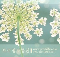 위치추적기판매1