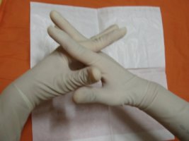 수술용장갑1