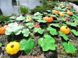 제주도유리의성2