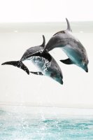 제주도마린파크3