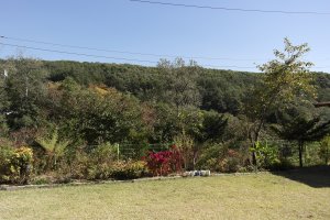 경기도노인요양원1