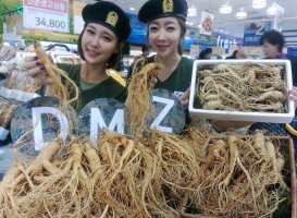 6년근인삼가격3